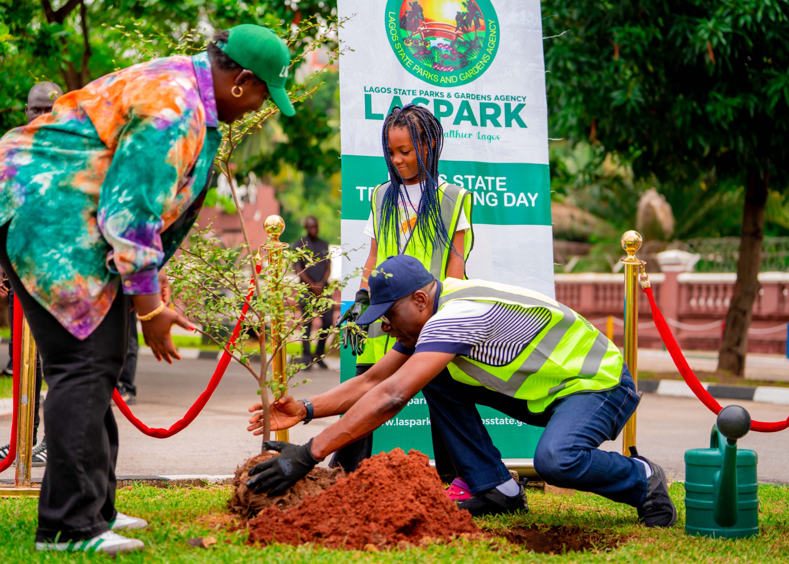 Climate change: Lagos to plant 20,000 trees in one year