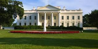 The White House 