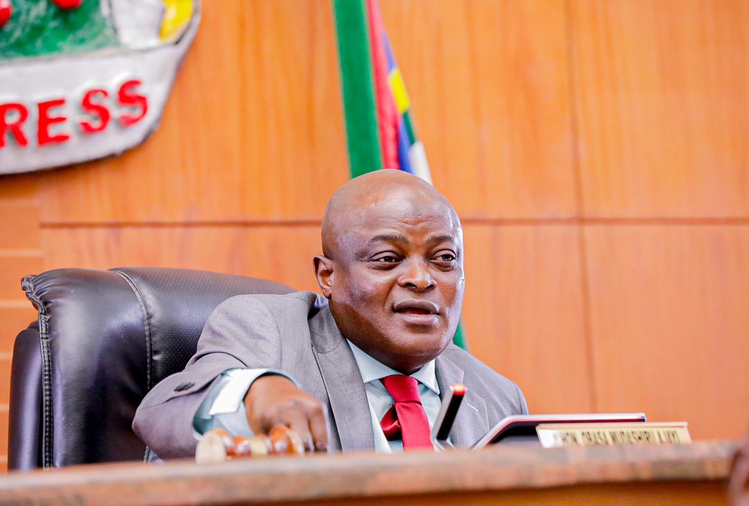 Domestic violence: Lagos Assembly seeks enlightenment units in schools