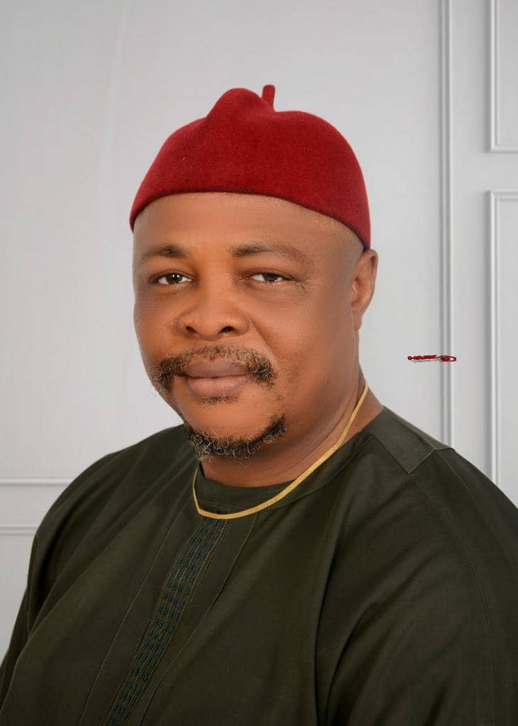 Udeze Accuses INEC Officials of Secret Suit to Destabilise Action Alliance